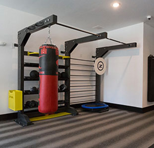 Image Of Punching Bag In Fitness Center